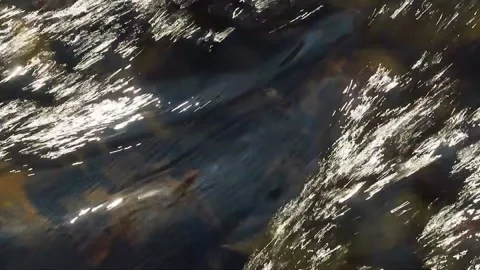 Element Wasser Stock-Footage 153284342