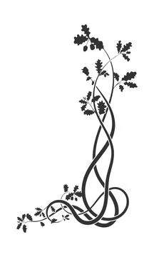 Element weaving to the top plant oak. vector image Stock Illustration