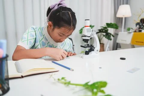 Elementary Girl Placing Slide on Microscope STEM Science Experiment Procedure Stock Photos