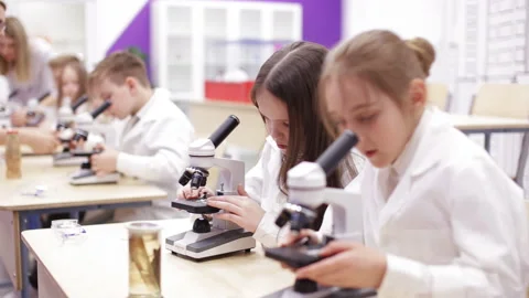 Elementary school biology class. Children studing biology in school laboratory. Stock Footage 88917184