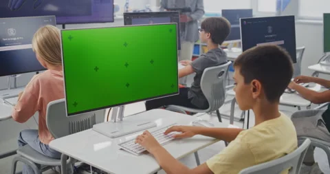Elementary School Boy Using Computer with Green Screen Template for Educational 動画素材 316295577
