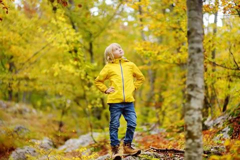 Elementary school boy walks forest in Lovcen National Park, Montenegro Stock Photos