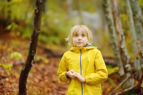 Elementary school boy walks in the forest on an autumn day. Foto stock