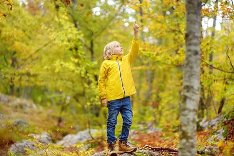 Elementary school boy walks forest in Lovcen National Park, Montenegro Stock Photos