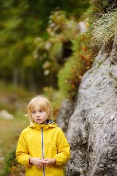 Elementary school boy walks in the forest on an autumn day. Stock Photos