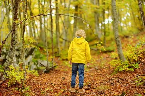 Elementary school boy walks forest in Lovcen National Park, Montenegro Stock Photos