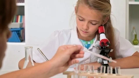 Elementary school chemistry class Stock Footage 71886029
