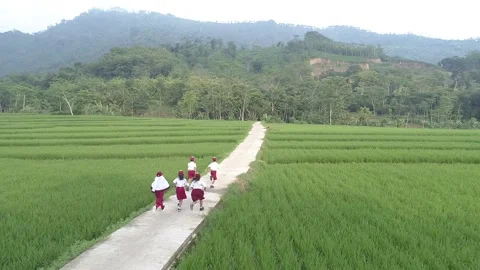 Elementary school children running in the fields Stock Footage 196137404