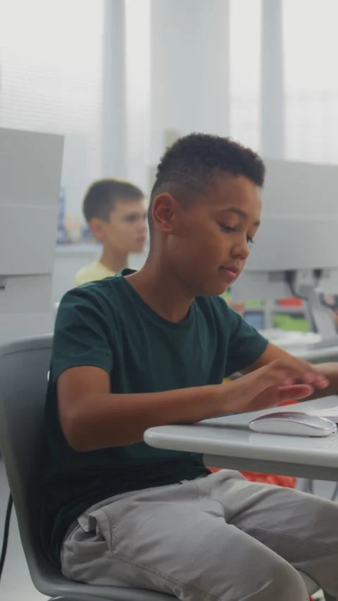 Elementary School Children Using Computers, Doing Creative 3D Design Projects Stock Footage 317167682