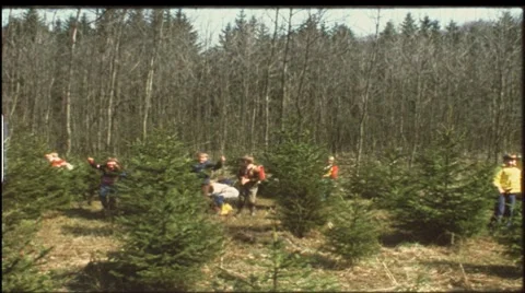 Elementary school excursion in the 1960s (vintage 8 mm amateur film) Stock Footage 7899277