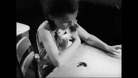 Elementary School Girl In Classroom Plays With Small Pet Lizards Sitting At Desk Stock Footage 157788716