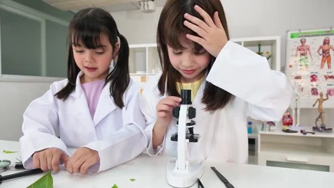 Elementary School Girls Using Microscope in Science Laboratory Stock Footage 340244424