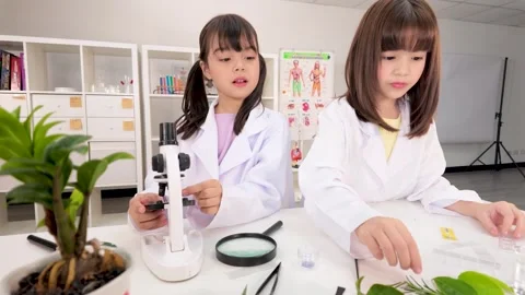 Elementary School Girls Using Microscope in Science Laboratory Stock Footage 340244443