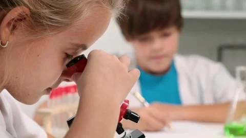 Elementary school sciences class Stock Footage 72152180