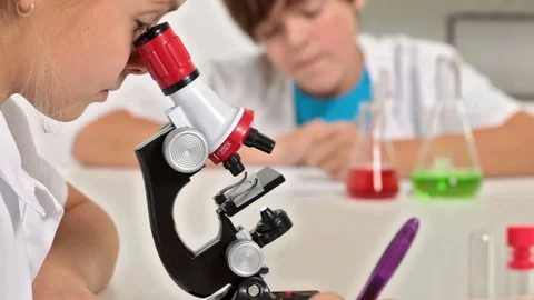 Elementary school sciences class - kids experimenting individually Stock Footage 72178103