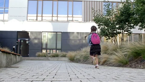 An elementary school student hurries to school. Little girl with pigtails and a Stock Footage 162460319