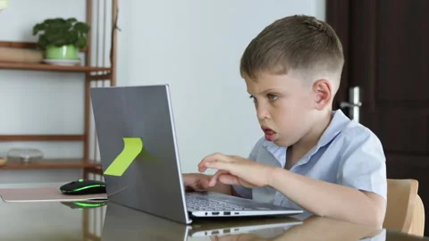 An elementary school student is typing on a laptop. Stock Footage 310218245