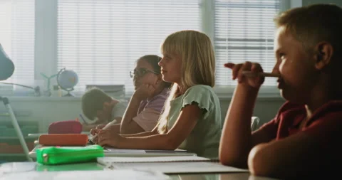 Elementary School Students Raising Hands to Provide Correct Answer During Stock Footage 317170696