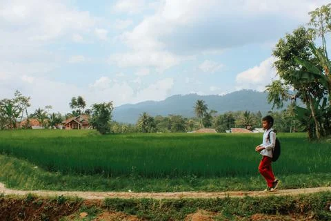 Elementary school students with rice field background Stock Photos