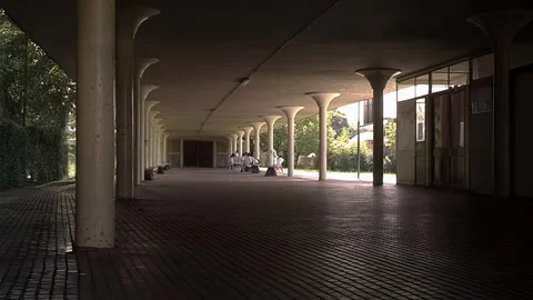 Elementary students are gathering in an outdoor school courtyard Video stock 333266351