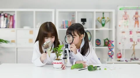 Elementary Students in Lab Coats Examining Potted Plant with Magnifying Glasses Stock Footage 340775285