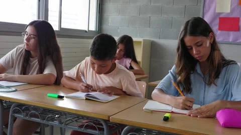 Elementary students studying together in the classroom at school Stock Footage 308654801