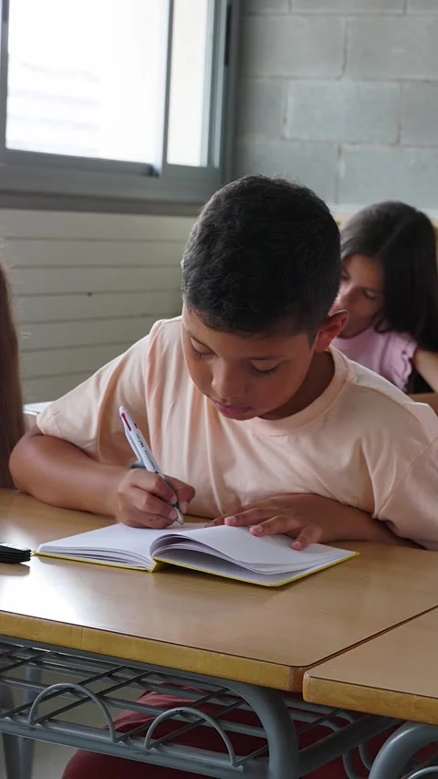 Elementary students studying together in the classroom at school Stock Footage 312198547
