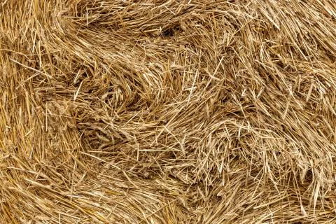 The elements and components of agricultural Background of haystack close up Stock Photos