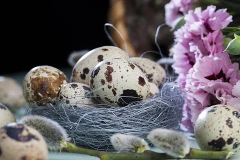 Elements and decor for celebrating Easter Stock Photos