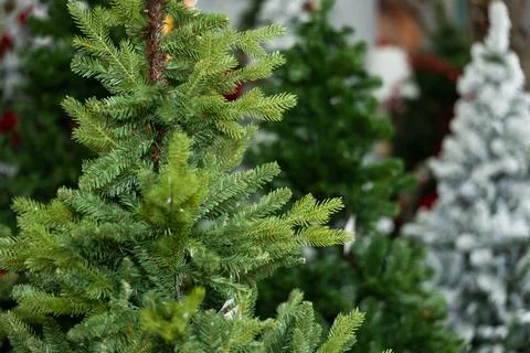 Elements of Christmas tree in the decorated hall in the store, close-up 스톡 사진