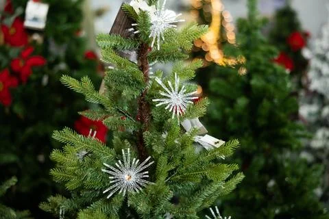 Elements of Christmas tree with white snowflakes in the decorated hall in the Stock Photos