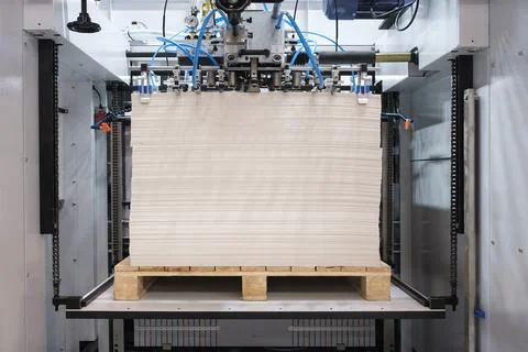 Elements of corton boxes are collected in stack. Conveyor line for the produc Foto stock