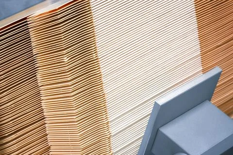 Elements of corton boxes are collected in stack. Conveyor line for the produc Foto stock