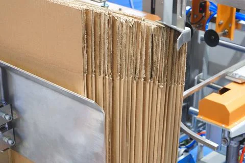 Elements of corton boxes are collected in stack. Conveyor line for the produc 스톡 사진