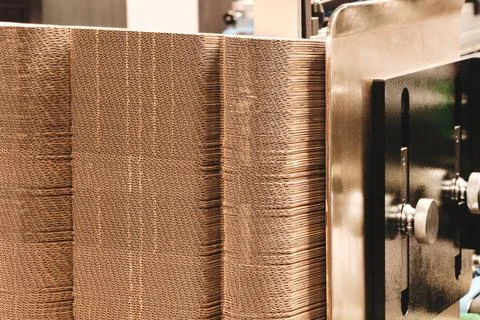 Elements of corton boxes are collected in stack. Conveyor line for the produc 스톡 사진