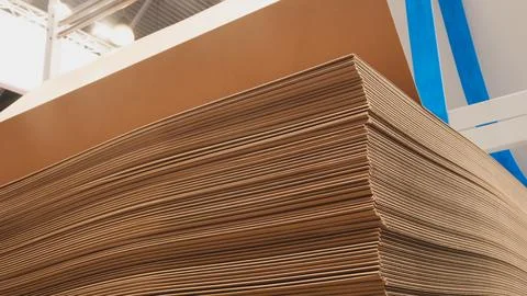 Elements of corton boxes are collected in stack. Conveyor line for the produc Foto stock
