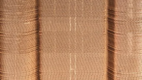 Elements of corton boxes are collected in stack. Conveyor line for the produc Foto stock