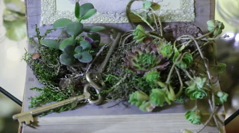 Elements decor keys Wedding ceremony 動画素材 44329930