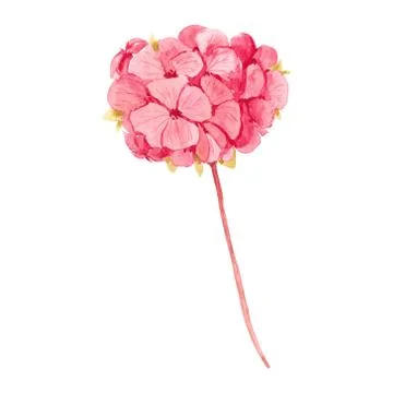 Elements for design on a spring theme, in the style of watercolor. Stock Illustration