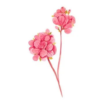 Elements for design on a spring theme, in the style of watercolor. 스톡 일러스트