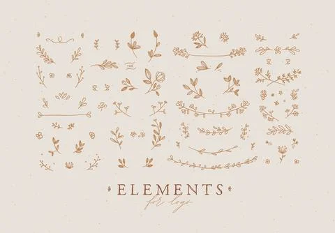 Elements flowers and branches for your design coffee color イラスト素材