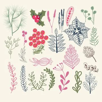 Elements with Foliage, pine branches, holly berry. Stock Illustration