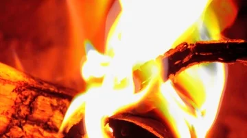 The elements 動画素材 85687359