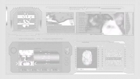 Elements Of Infographics Motion Graphics Stock Footage 252738066