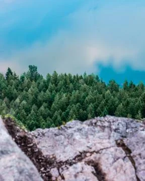 Elements of Nature Stock Photos