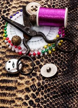 Elements of needlework 库存照片