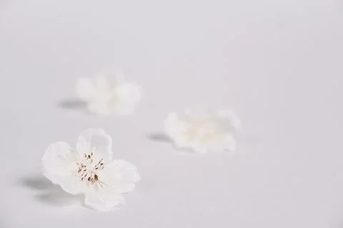 Elements relaxing massage spa Stock Photos