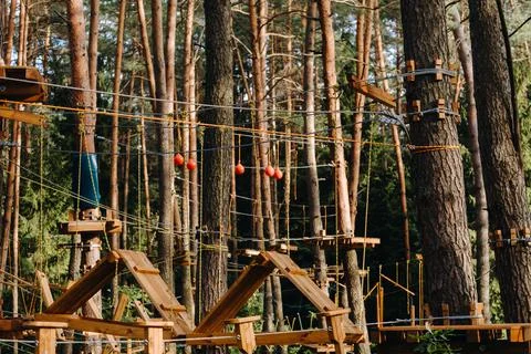 Elements of a rope town in the park. An empty rope town in the forest 写真素材