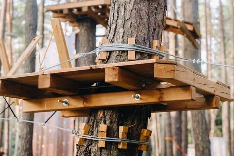 Elements of a rope town in the park. An empty rope town in the forest 写真素材