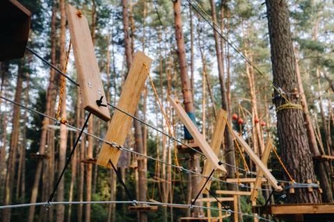 Elements of a rope town in the park. An empty rope town in the forest 写真素材